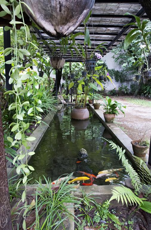 Lani'S House By The Ponds Hotel Vientiane Eksteriør billede