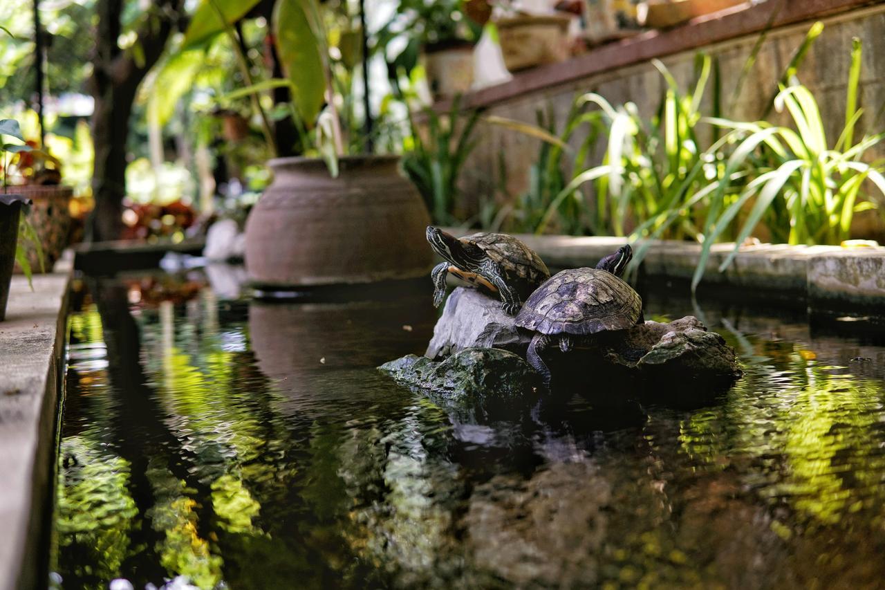 Lani'S House By The Ponds Hotel Vientiane Eksteriør billede